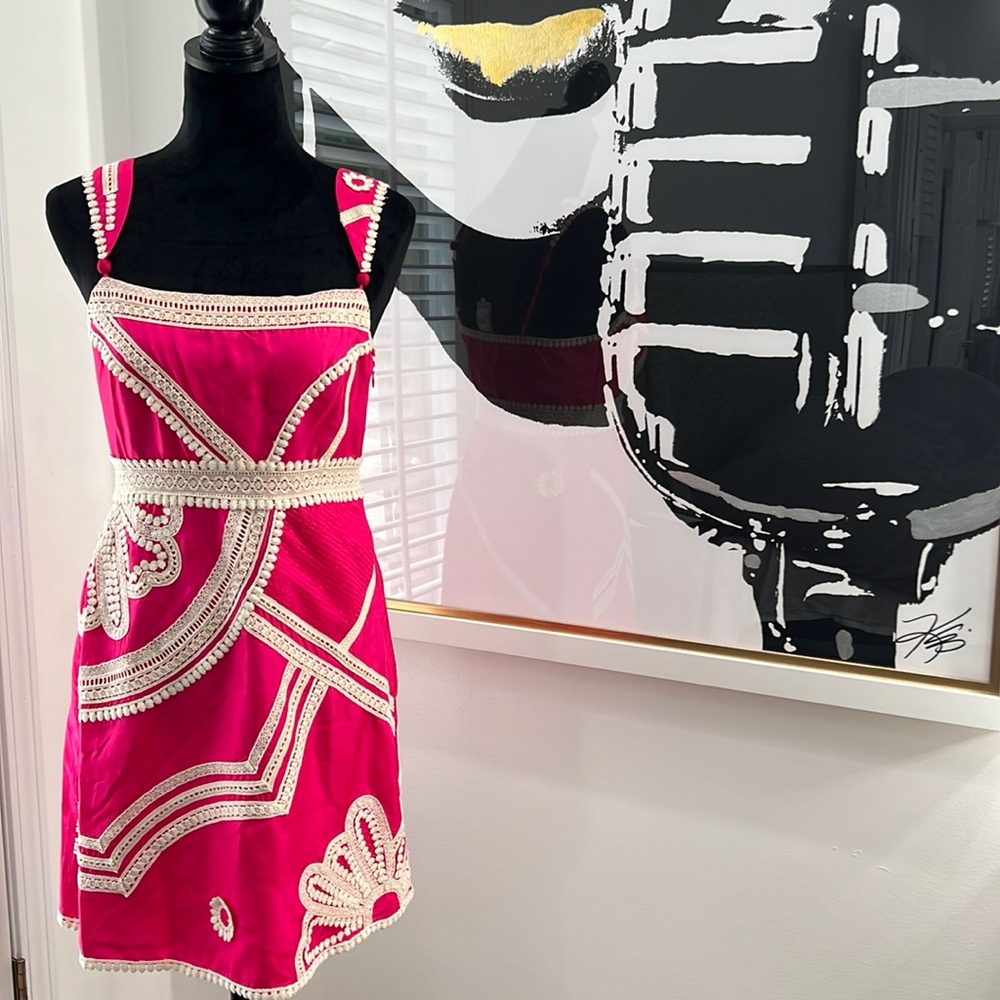 Anthropologie Yoana Baraschi Hot Pink Embroidered Silk Dress, Size 6